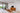 Teak / Cast Sage / Right