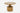 Teak